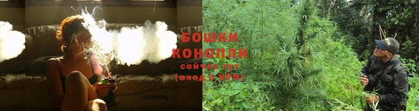 крисы Бугульма