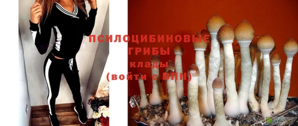 гидропоника Богданович
