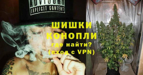 винт Бородино