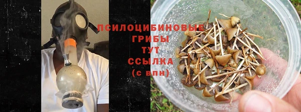 гидропоника Богданович