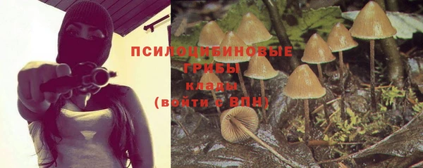 гидропоника Богданович