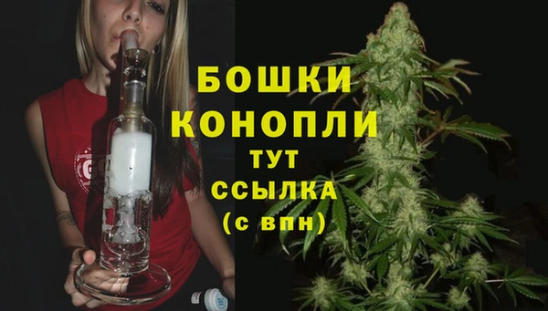 винт Бородино